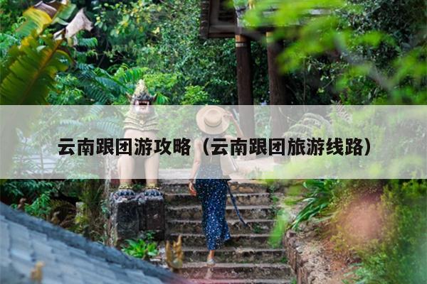 云南跟团游攻略（云南跟团旅游线路）