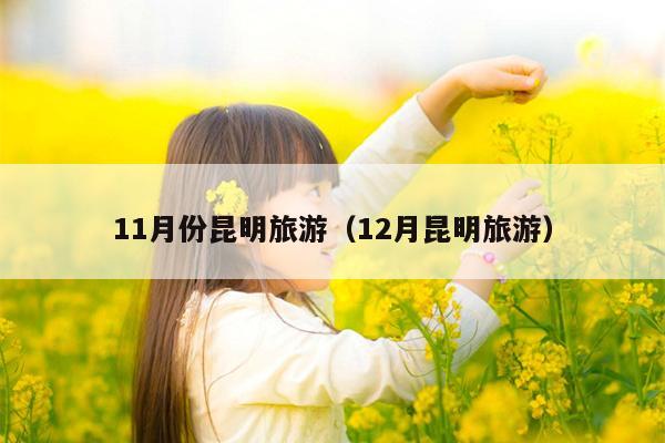 11月份昆明旅游（12月昆明旅游）