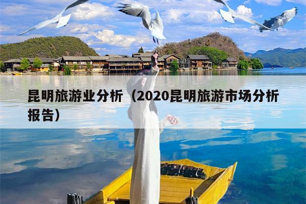 昆明旅游业分析（2020昆明旅游市场分析报告）