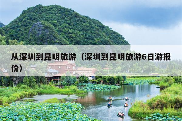 从深圳到昆明旅游（深圳到昆明旅游6日游报价）