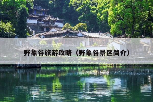 野象谷旅游攻略（野象谷景区简介）